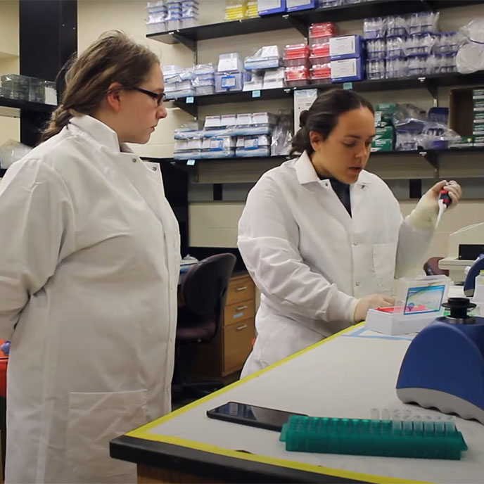 Two female honors students in lab coats conducting research.